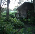 Mount Seaview Resort - Accommodation Yamba