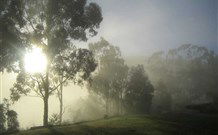 Grace Cottages - Accommodation Yamba 2