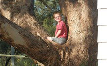 Leslie Cottage - Accommodation Yamba 7