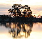 Myuna Bay Sport and Recreation Centre - Accommodation Yamba