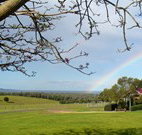 Pebble Bay Cottage - Accommodation Yamba