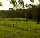Stone Cottage Mittagong - Accommodation Yamba