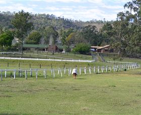 Kellarni Downs Farmstay-Scenic Rim - Accommodation Yamba 0
