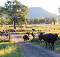 Tommerups Dairy Farmstay - Accommodation Yamba