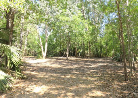 Bitter Springs Cabins And Camping - Accommodation Yamba 5