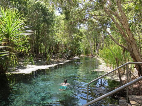 Bitter Springs Cabins And Camping - Accommodation Yamba 6