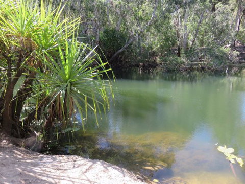Bitter Springs Cabins And Camping - Accommodation Yamba 7