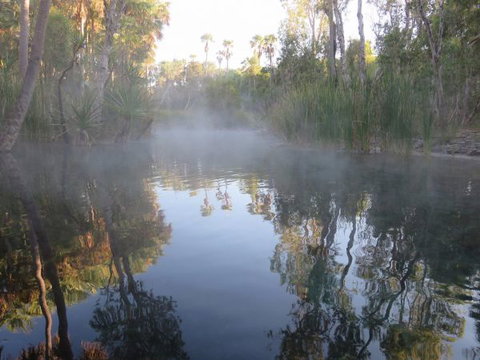 Bitter Springs Cabins And Camping - Accommodation Yamba 8