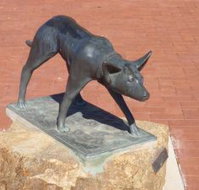 The Ardlethan Kelpie Caravan Park - Accommodation Yamba