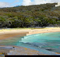 Depot Beach Cabins - Accommodation Yamba