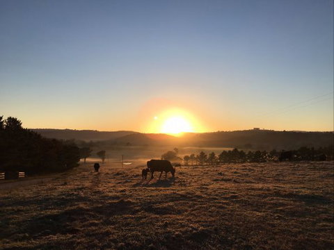 Old Bara Farmstay - Accommodation Yamba 8