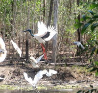 Rakhi Retreat - Accommodation Yamba