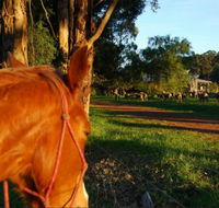 Billa Billa Farm Cottages - Accommodation Yamba