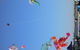 Semaphore Beach House - thumb 2
