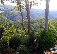 Mt Tamborine Motel - Accommodation Yamba