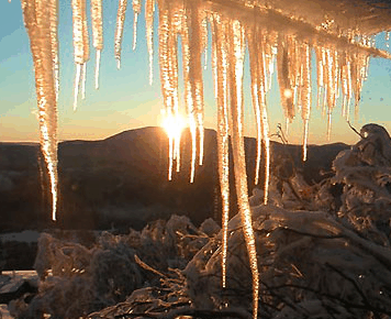 Burnt Hut - Accommodation Yamba