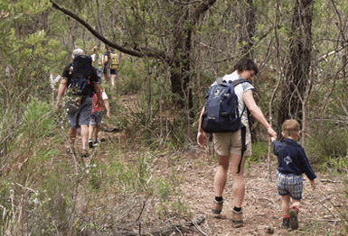 Bicheno East Coast Holiday Park - Accommodation Yamba 3