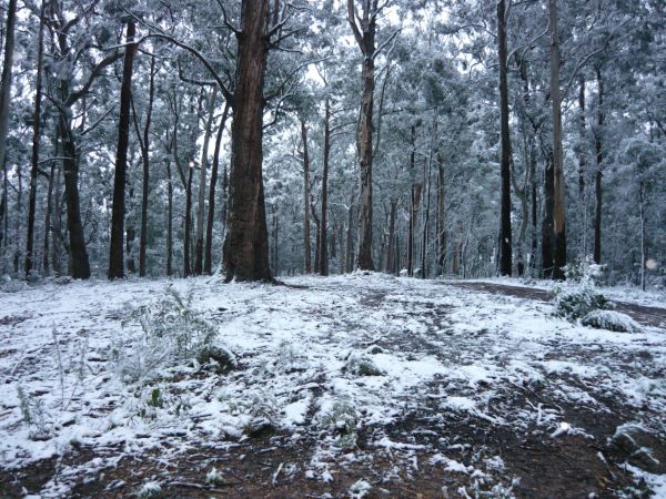 Fumina South VIC Accommodation Yamba