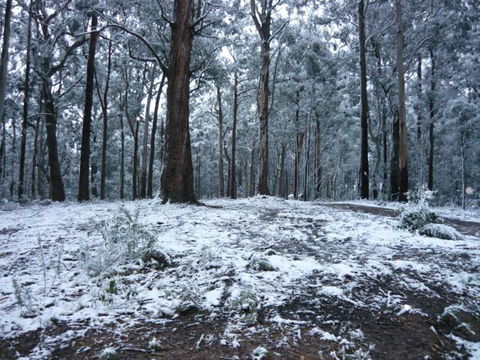 High Peaks Cottages - Accommodation Yamba 0