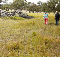 Carnarvon National Park camping - Accommodation Yamba