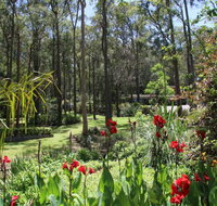 Werekataba - Accommodation Yamba