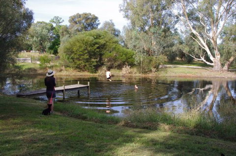 Baranduda Homestead B&B Cottages - Accommodation Yamba 7