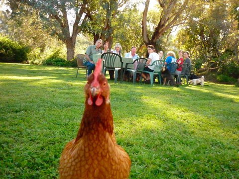 Baranduda Homestead B&B Cottages - Accommodation Yamba 9