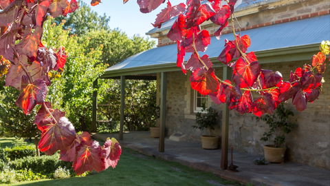 Grand Cru Estate Homestead - Accommodation Yamba 0