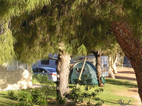 Barmera North Lake Caravan Park - Accommodation Yamba 0