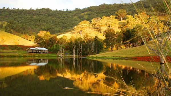 Ogunbil NSW Accommodation Yamba