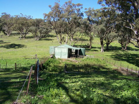 Catninga Mountain Camp Hut - Accommodation Yamba 7