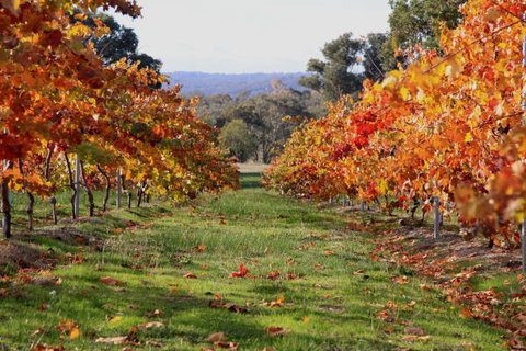 Candlebark Retreat - Accommodation Yamba 2