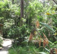 Dunns Creek Downs Nature Stay - Accommodation Yamba