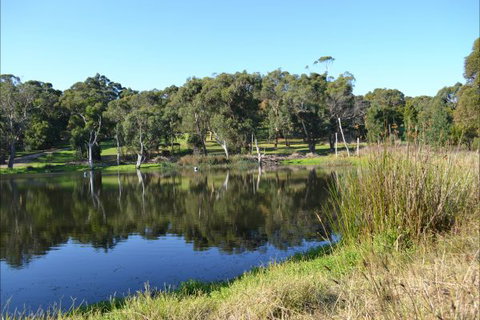 Iluka Retreat And Camp - Accommodation Yamba 2