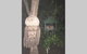 Kookaburra Retreat - thumb 9