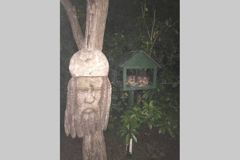 Kookaburra Retreat - Accommodation Yamba 9