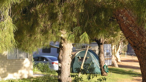 Barmera North Lake Caravan Park - Accommodation Yamba 4