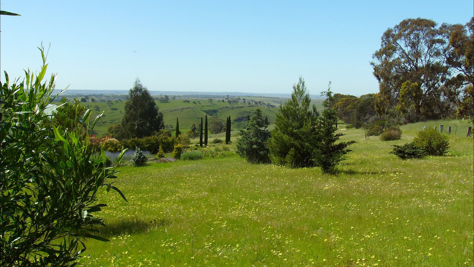 Dawesley SA Accommodation Yamba