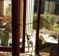 Mara Ponds Branxholm - Accommodation Yamba