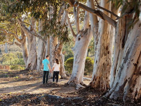 Rilli Retreat - Accommodation Yamba 3