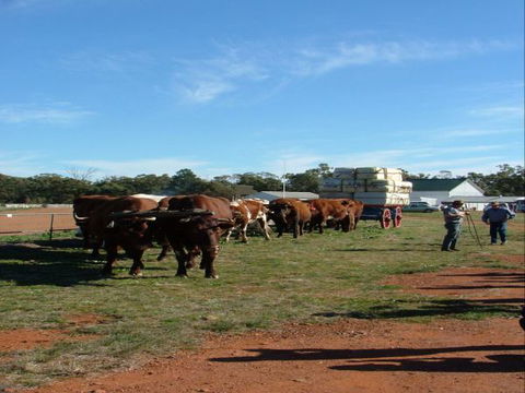 Trundle Showground - Accommodation Yamba 1