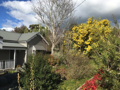 Valley View Cottage - Accommodation Yamba 4