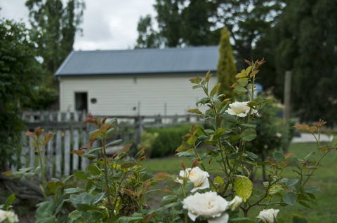 Wood Duck Cottages - Accommodation Yamba 5