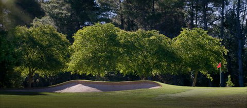 Yowani Country Club - Accommodation Yamba 4