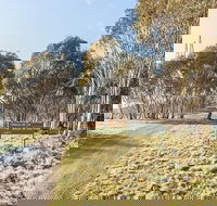 Bullocks Hill campground - Accommodation Yamba