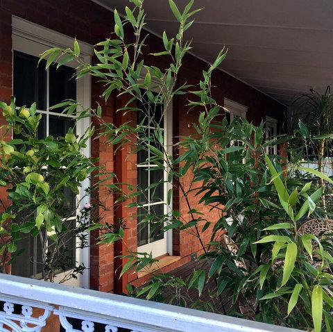 Heathcote Contemporary Art Boutique Accommodation - Accommodation Yamba 6