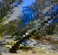 Highfield Farm and Woodland Bush Campsites - Accommodation Yamba