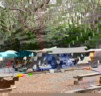 Pebbly Beach campground - Yuraygir National Park - Accommodation Yamba