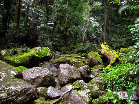 Nightfall  Camp - Accommodation Yamba 4