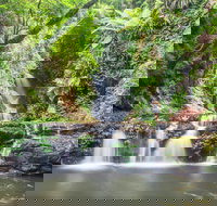 O'Reilly's Rainforest Retreat - Accommodation Yamba